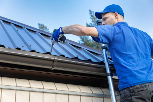 Roof Moss and Algae Removal in Marseilles, IL